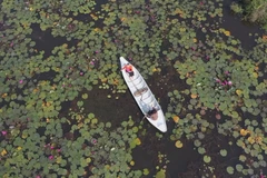 Long An province a captivating ecotourism destination