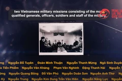 Peace stories from witnesses