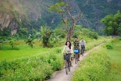 Green, sustainable tourism becomes major trend