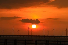 Bac Lieu’s wind power farm: A must-see destination for sunset lovers