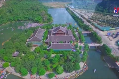 Family tours becoming a trend this summer