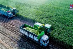 Development strategy of rural occupations approved