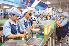 Vietnam appeals to supporting industry giants
