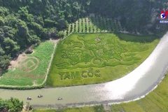 Trang An to become an attractive tourism site in the world