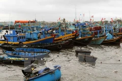 South-central coastal localities implement Law on Fisheries