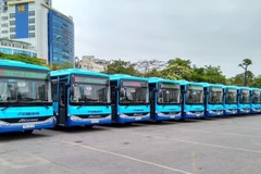 Tourism and transport development needs common voice