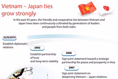 Vietnam - Japan ties grow strongly