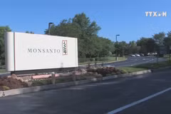 US court ruling on Monsanto gives hope to Vietnam’s AO lawsuit
