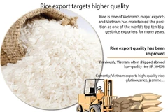 Rice export targets higher quality 