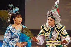 Cai Luong opera festival takes place in southern Vietnam