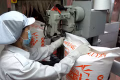 Vietnam sugar production down 13 percent