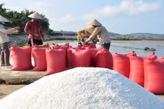Quality salt production zone planned