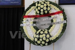 Vietnamese expats in Mexico mourn for Fidel Castro