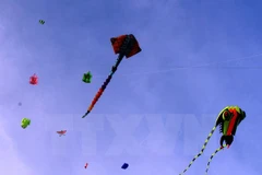 Annual kite fest takes wing in Vung Tau