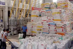Can Tho targets 1.67 billion USD in 2017 exports