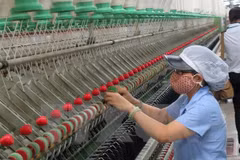 Vietnam, Thailand seek to beef up trade-investment ties