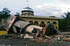 Indonesia earthquake: Initial casualty report 20 deaths