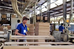 Timber, wooden furniture exports rake in 7.3 billion USD