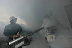 Thailand reports high record in dengue fever cases