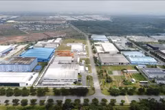 Infrastructure projects help attract industrial investments to Mekong Delta: Savills Vietnam