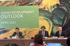 Growth support policy helps Vietnam cope with headwinds: ADB