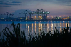 Another Vietnamese firm launches branch in Cuba