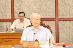 Nghe An province needs to grow stronger: Party leader