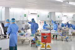 HCM City holds Tet pandemic hike drill