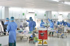 HCM City holds Tet pandemic hike drill