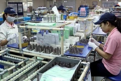 Measures needed to sustain FDI growth trend: expert