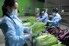 Hanoi promotes agricultural product exports