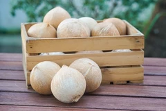 Vietnam gets green light to export fresh husked coconut to US
