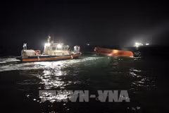 Two Vietnamese fishermen missing in boat sinking in RoK