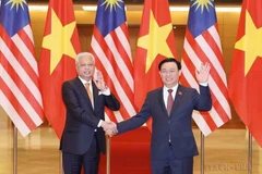 Vietnam-Malaysia ties expand across all pillars over 50 years: Diplomat