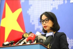 Dak Lak incident a serious violation of law: spokesperson