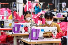 Vietnamese economy expands 5.05% in 2023: GSO