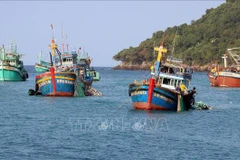📝 OP-ED: Vietnamese coastal localities take long-term efforts to end IUU fishing