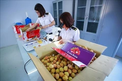 Irradiation centre to open in the north to serve fruit export: minister