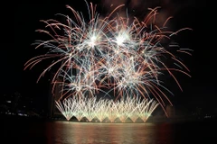 Da Nang International Fireworks Festival 2023 kicks off