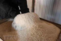 Measures sought to enhance rice value chain efficiency