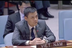 Vietnam upholds importance of trust-building in sustaining peace