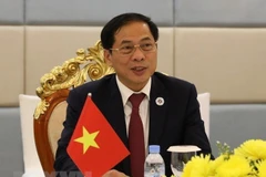 Foreign Minister attends online conference on responding to synthetic drug