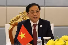 Foreign Minister attends online conference on responding to synthetic drug