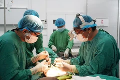 Single donor provides the gift of life for transplant patients