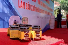First batch of Hoa Binh's turmeric starch, pink lemon in honey exported to UK