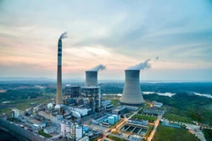 Indonesia to set emission quotas for several coal-fired power plants