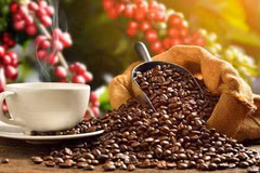 Vietnam’s coffee exports hoped to earn over 4 billion USD this year