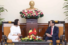 Minister of Foreign Affairs receives Belgian Senate President