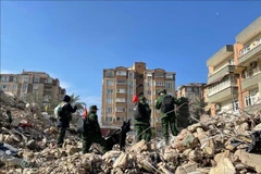 Vietnamese teams make great efforts in search and rescue operations in Turkey