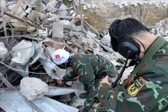 Vietnamese military rescuers join search for earthquake victims in Turkey